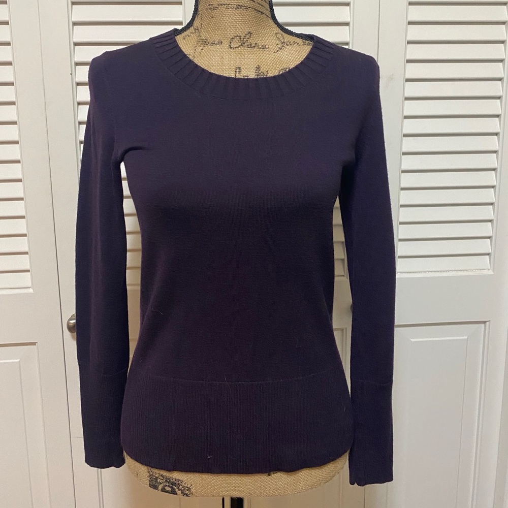 Banana Republic Italian Merino Sweater